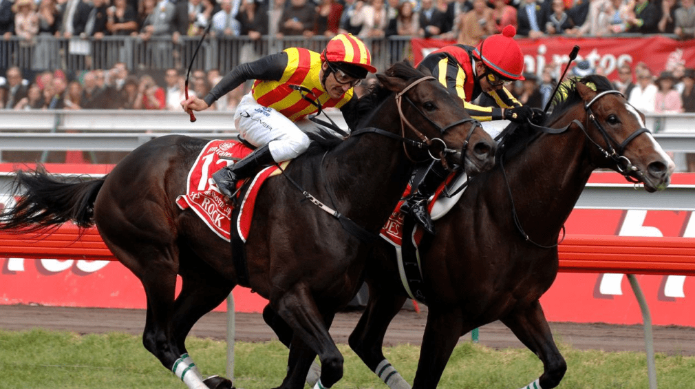 professional horse racing tips melbourne
